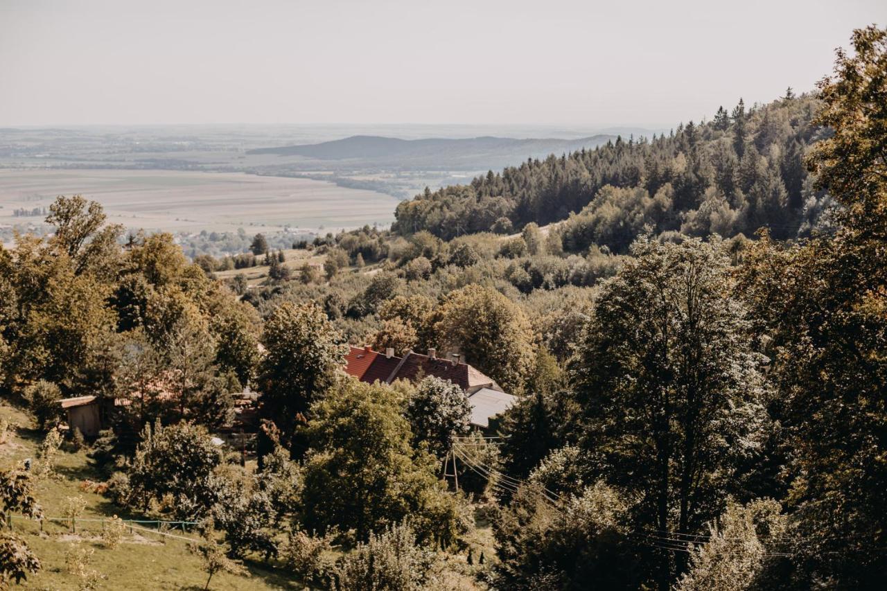 Villa Hubertus Srebrna Gora ภายนอก รูปภาพ