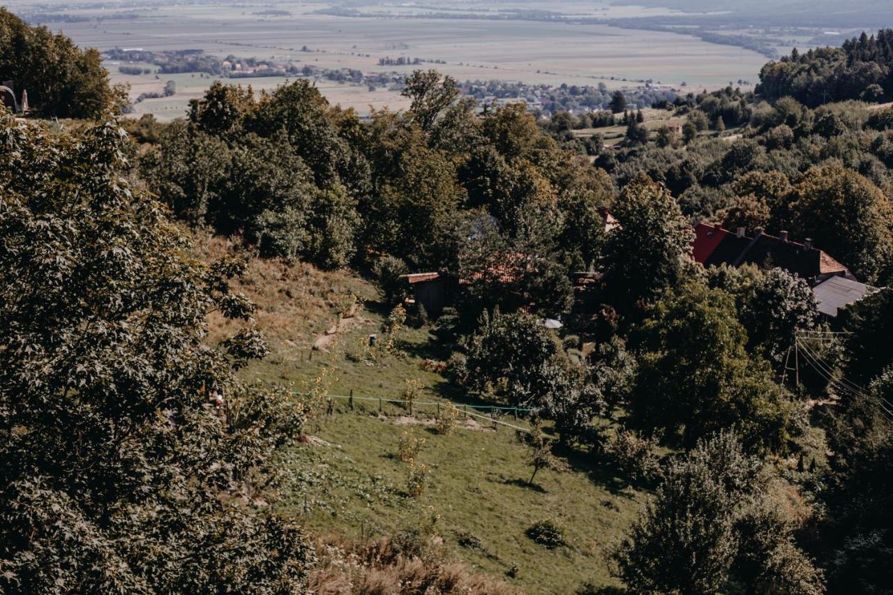 Villa Hubertus Srebrna Gora ภายนอก รูปภาพ
