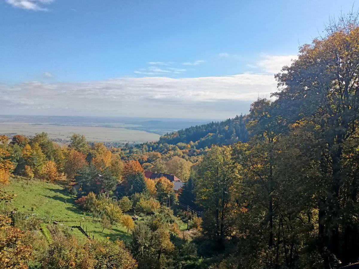 Villa Hubertus Srebrna Gora ภายนอก รูปภาพ