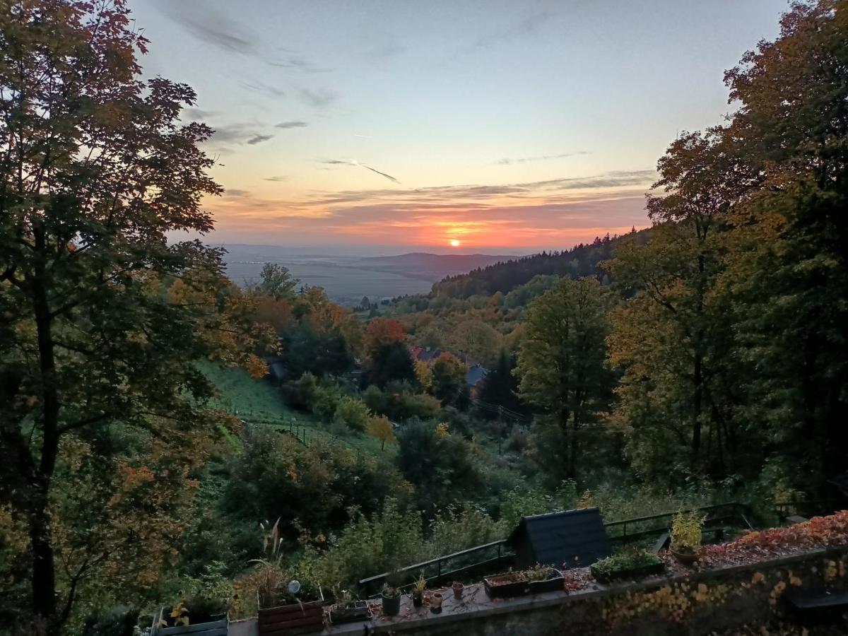 Villa Hubertus Srebrna Gora ภายนอก รูปภาพ