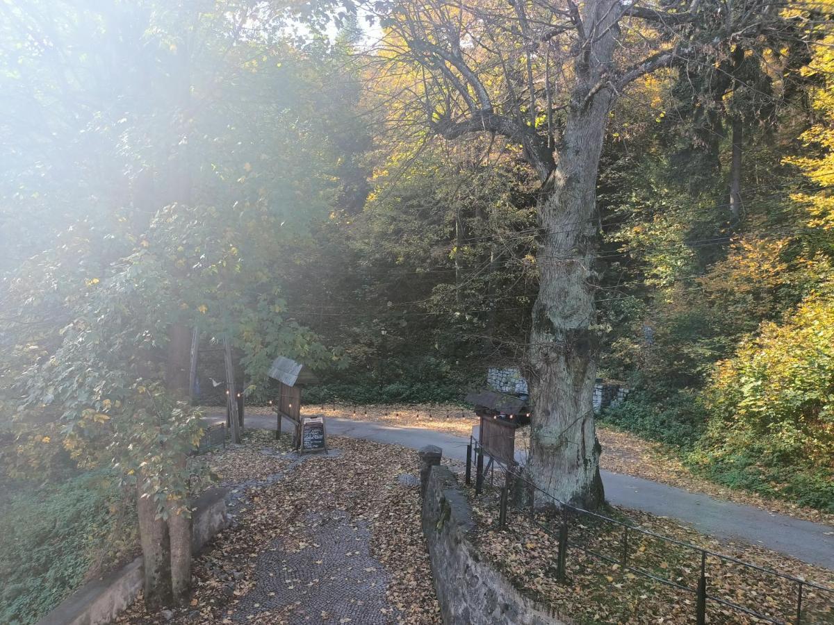 Villa Hubertus Srebrna Gora ภายนอก รูปภาพ