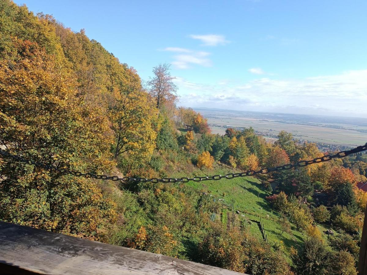 Villa Hubertus Srebrna Gora ภายนอก รูปภาพ